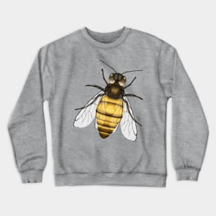 Bee pencil drawing color version Crewneck Sweatshirt